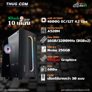 AMD RYZEN5 4600G